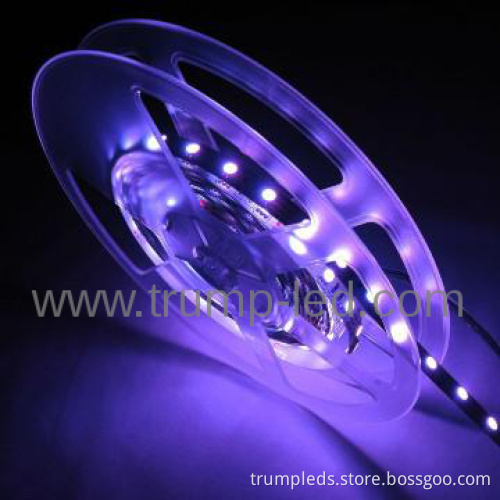 outdoor christmas tree decoration lighting with 2 years warranty